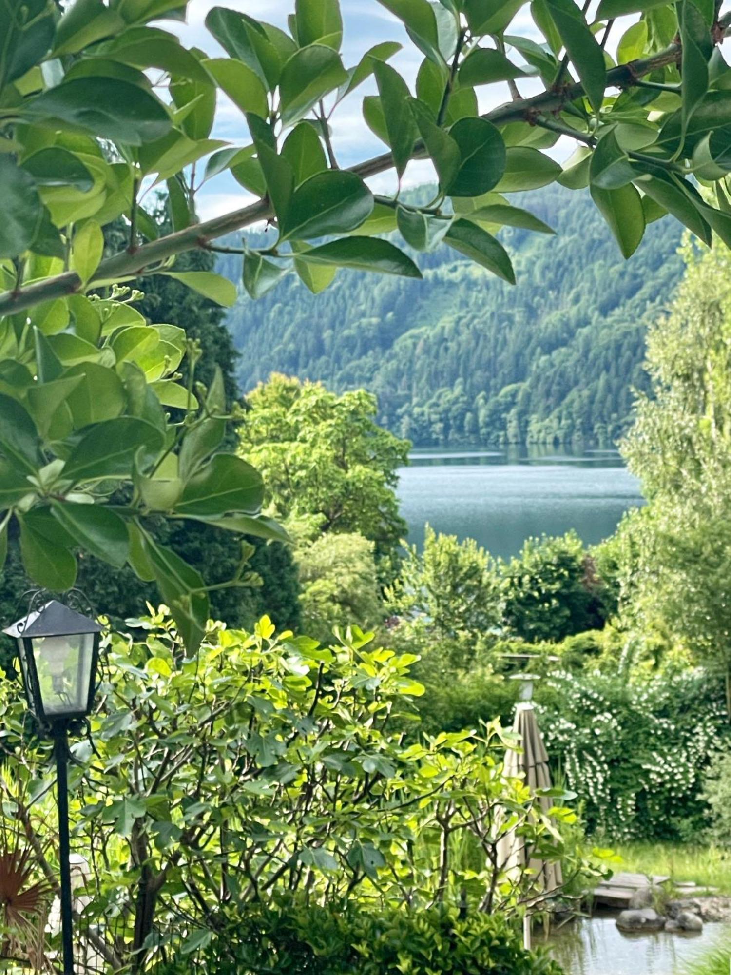 Villa Parkschloessl Millstatt Buitenkant foto